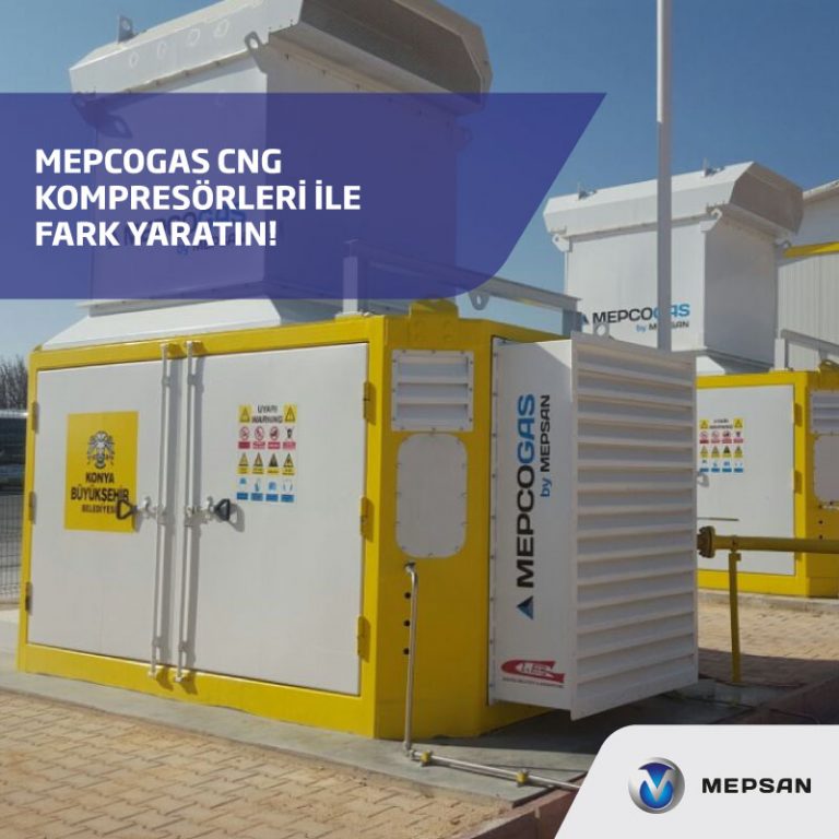 Mepcogas